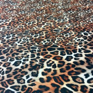 Leopard Print Velvet